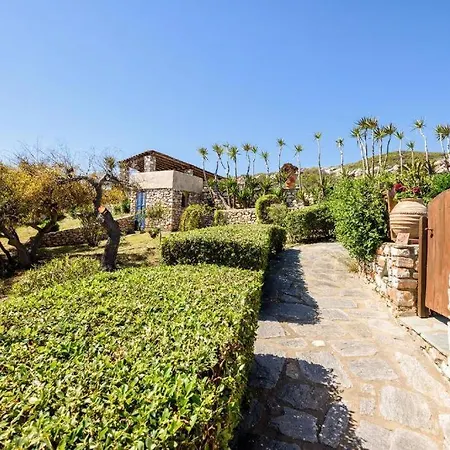 בית נופש Aegean Whisper - Parikia